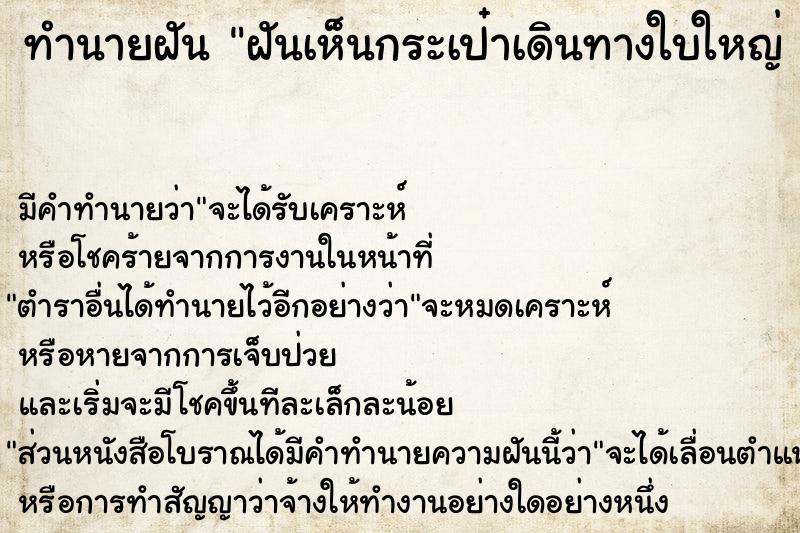 ทำนายฝัน ฝันเห็นกระเป๋าเดินทางใบใหญ่ 2 ใบ